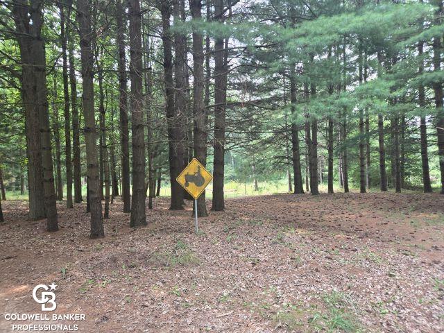Emmett, Michigan, 48022, United States, 3 Bedrooms Bedrooms, ,1 BathroomBathrooms,Residential,For Sale,1927063