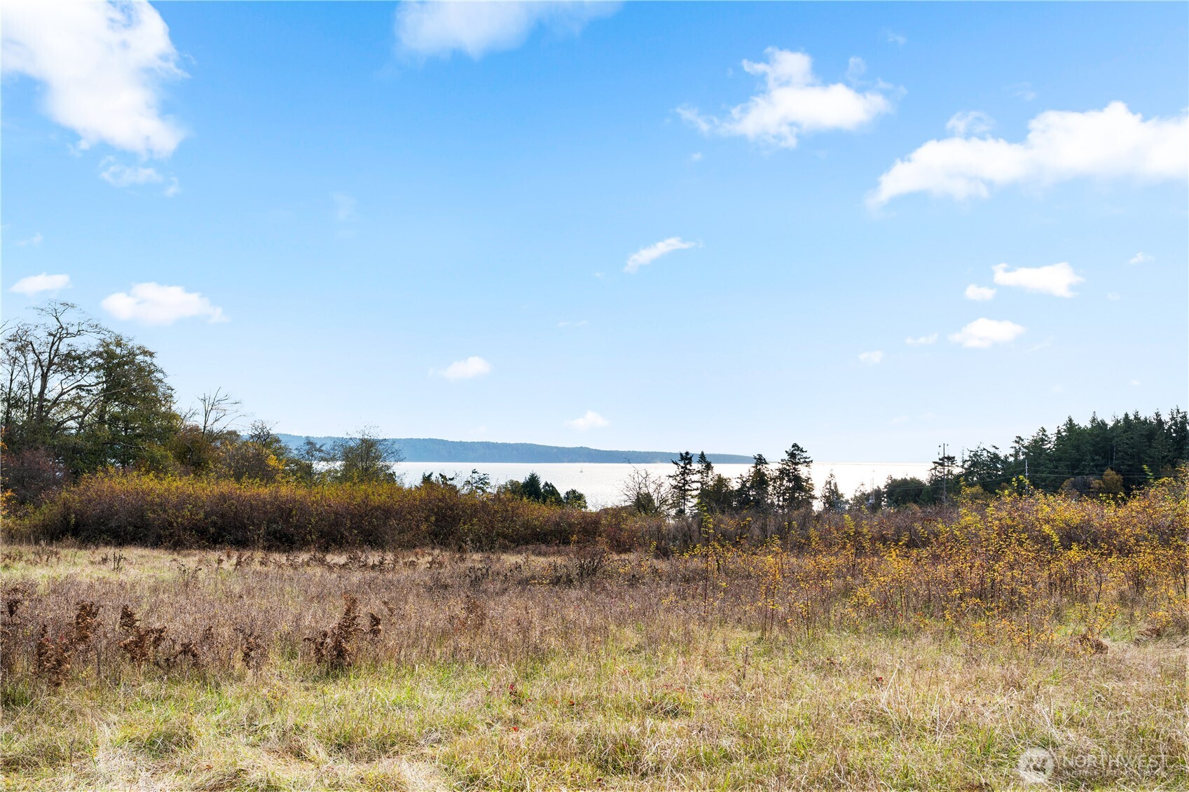 Friday Harbor, Washington, 98250, United States, ,Land,For Sale,1991931