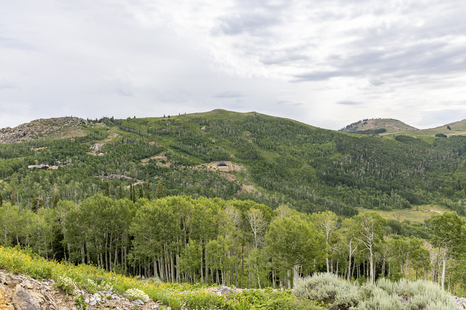  24 Acre Development Parcel in Bonanza Flats - 物件實景