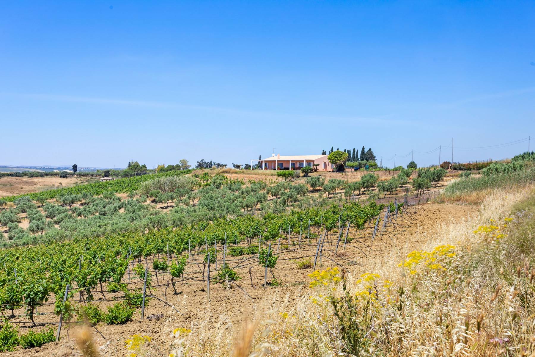  Stunning villa immersed in the countryside and overlooking the sea - 物件實景