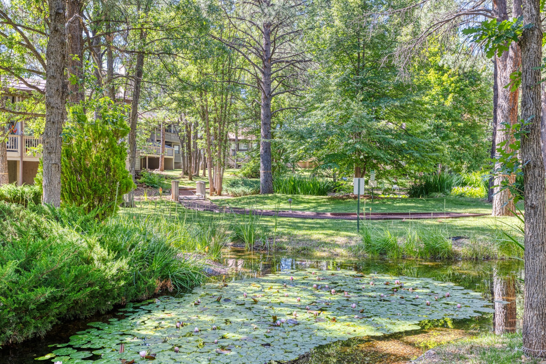  3651 Crown Dancer Drive¦Pinetop, AZ, - 物件實景