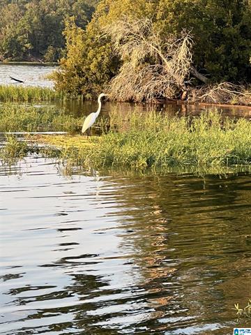 Clanton, Alabama, 35046, United States, 2 Bedrooms Bedrooms, ,1 BathroomBathrooms,Residential,For Sale,1980406