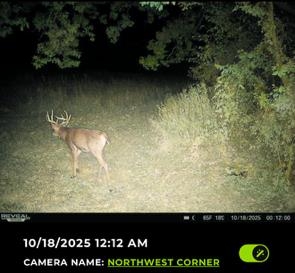 Muscoda, Wisconsin, 53573, United States, 3 Bedrooms Bedrooms, ,3 BathroomsBathrooms,Residential,For Sale,1990387