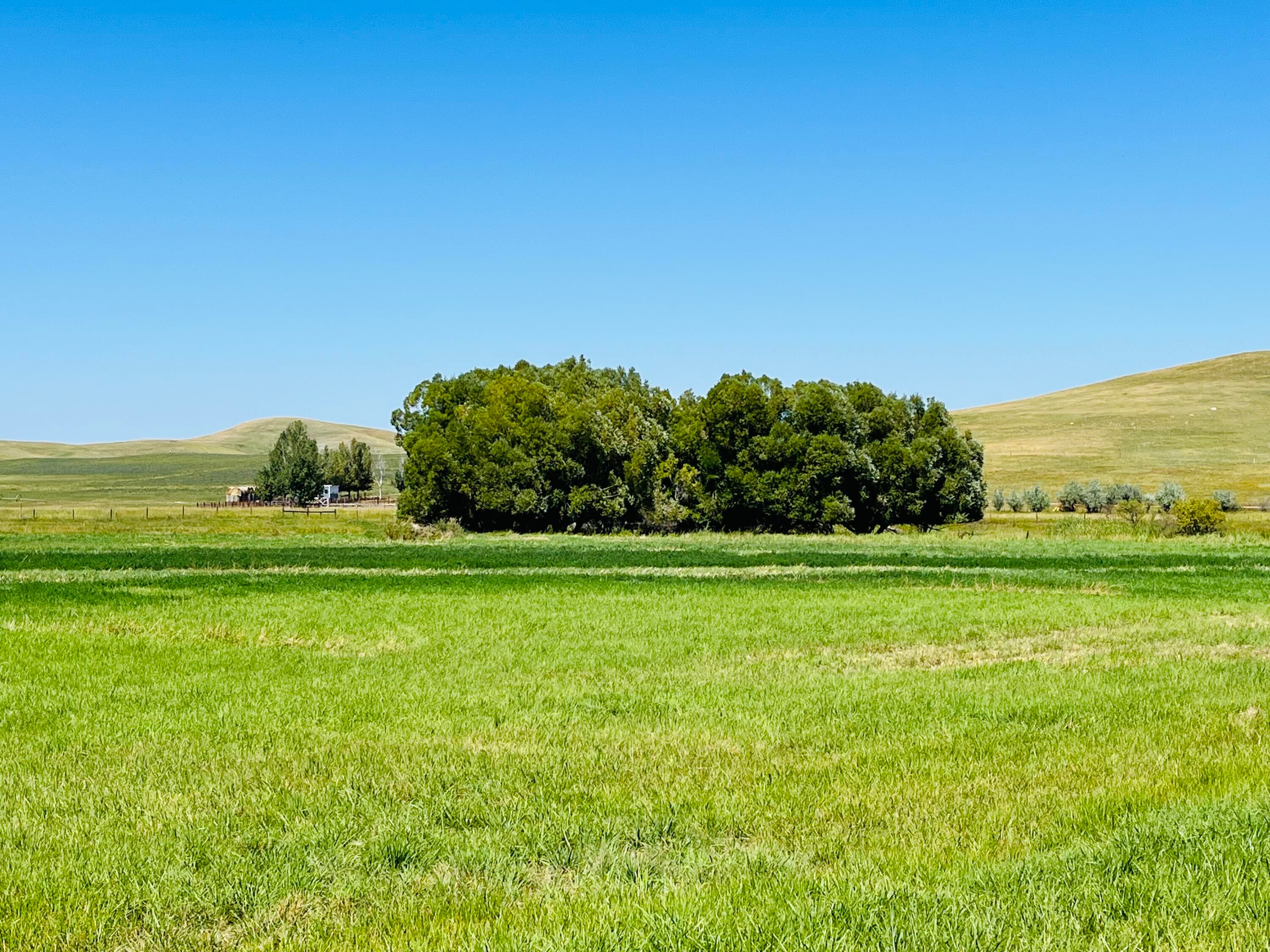 Sheridan, Wyoming, 82801, United States, 4 Bedrooms Bedrooms, ,2 BathroomsBathrooms,Residential,For Sale,2011372