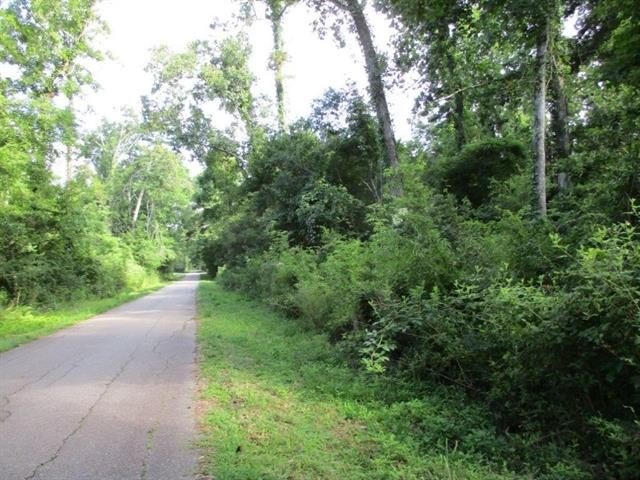 Madisonville, Louisiana, 70447, United States, ,Land,For Sale,1974802