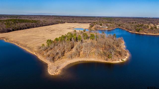 Mt Vernon, Texas, 75457, United States, ,Residential,For Sale,1861116