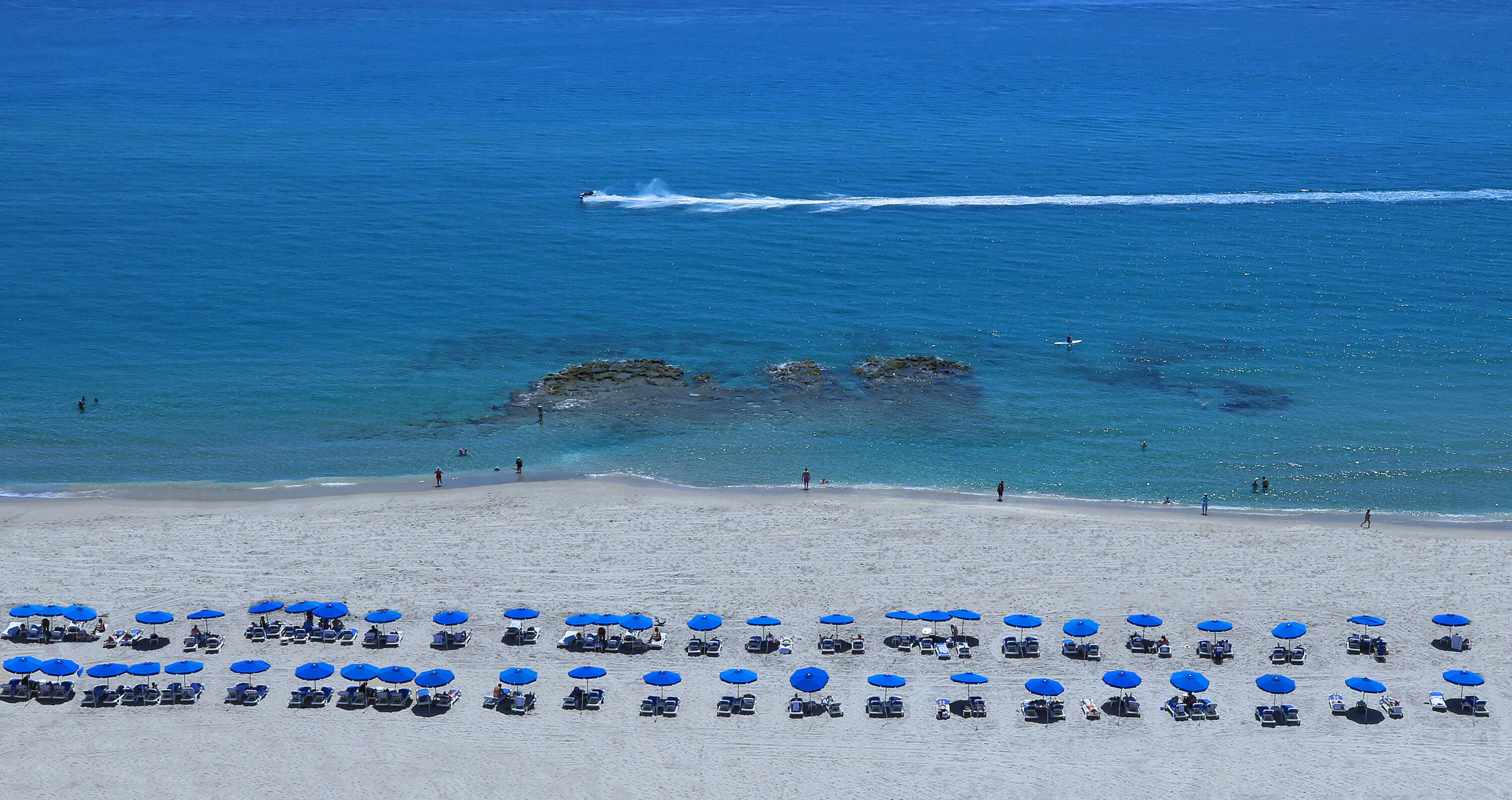  3800 N Ocean Drive #1450 - 物件實景