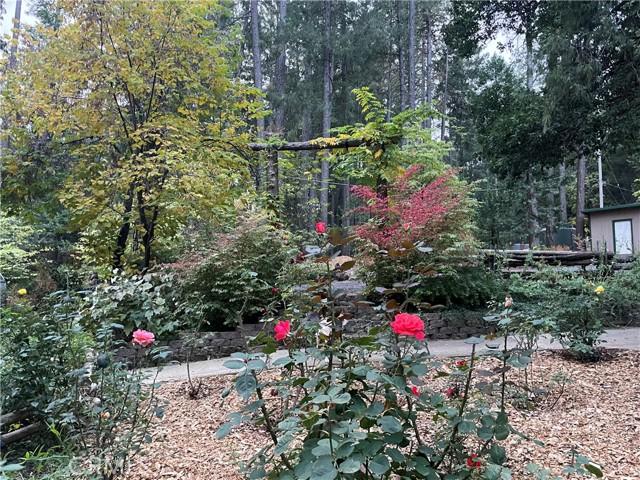 Magalia, California, 95954, United States, 3 Bedrooms Bedrooms, ,3 BathroomsBathrooms,Residential,For Sale,2008830