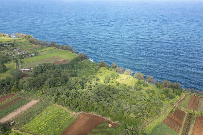 Pepeekeo, Hawaii, 96783, United States, ,Land,For Sale,1978999