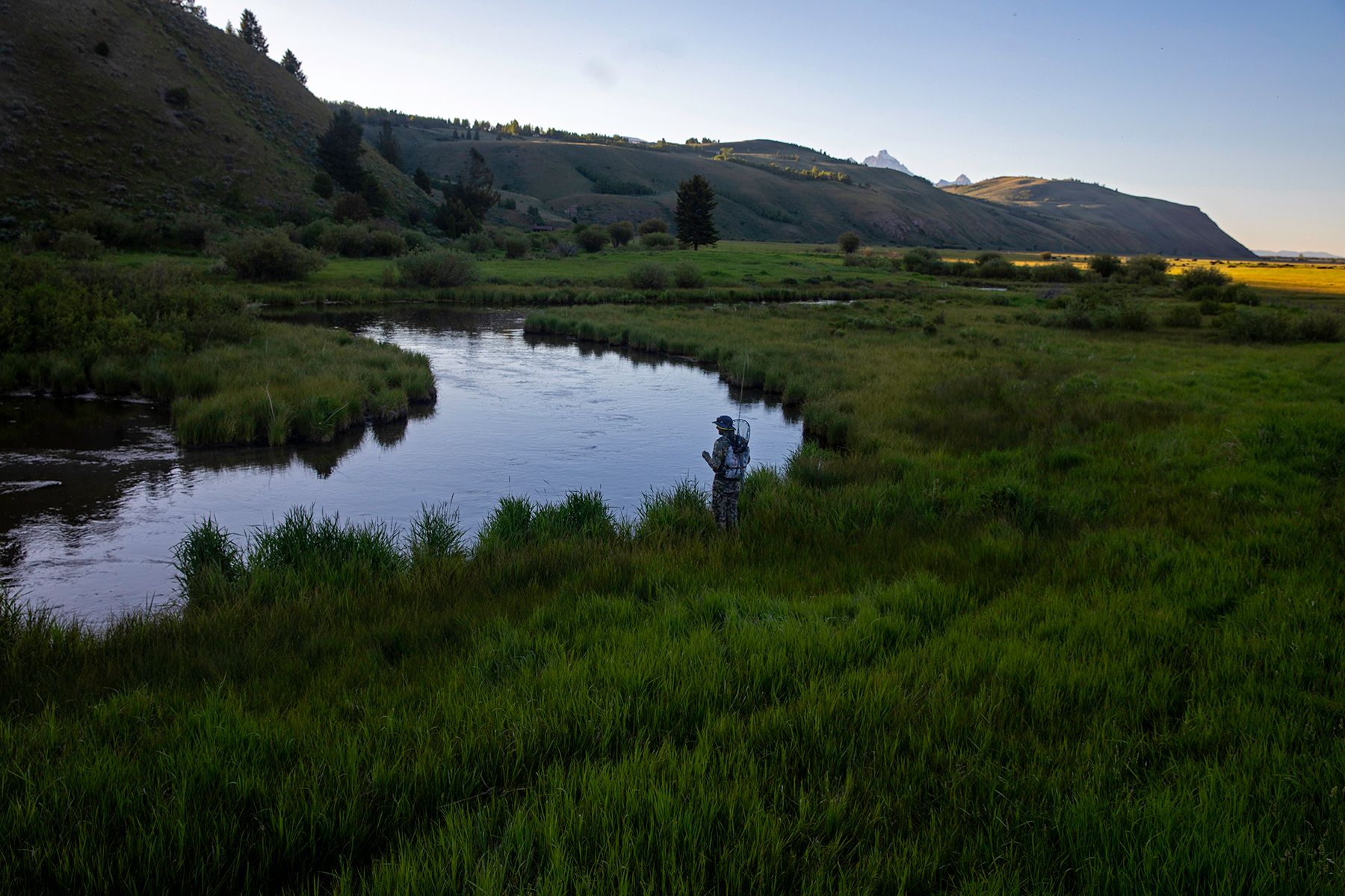  The Mead Ranch - 物件實景
