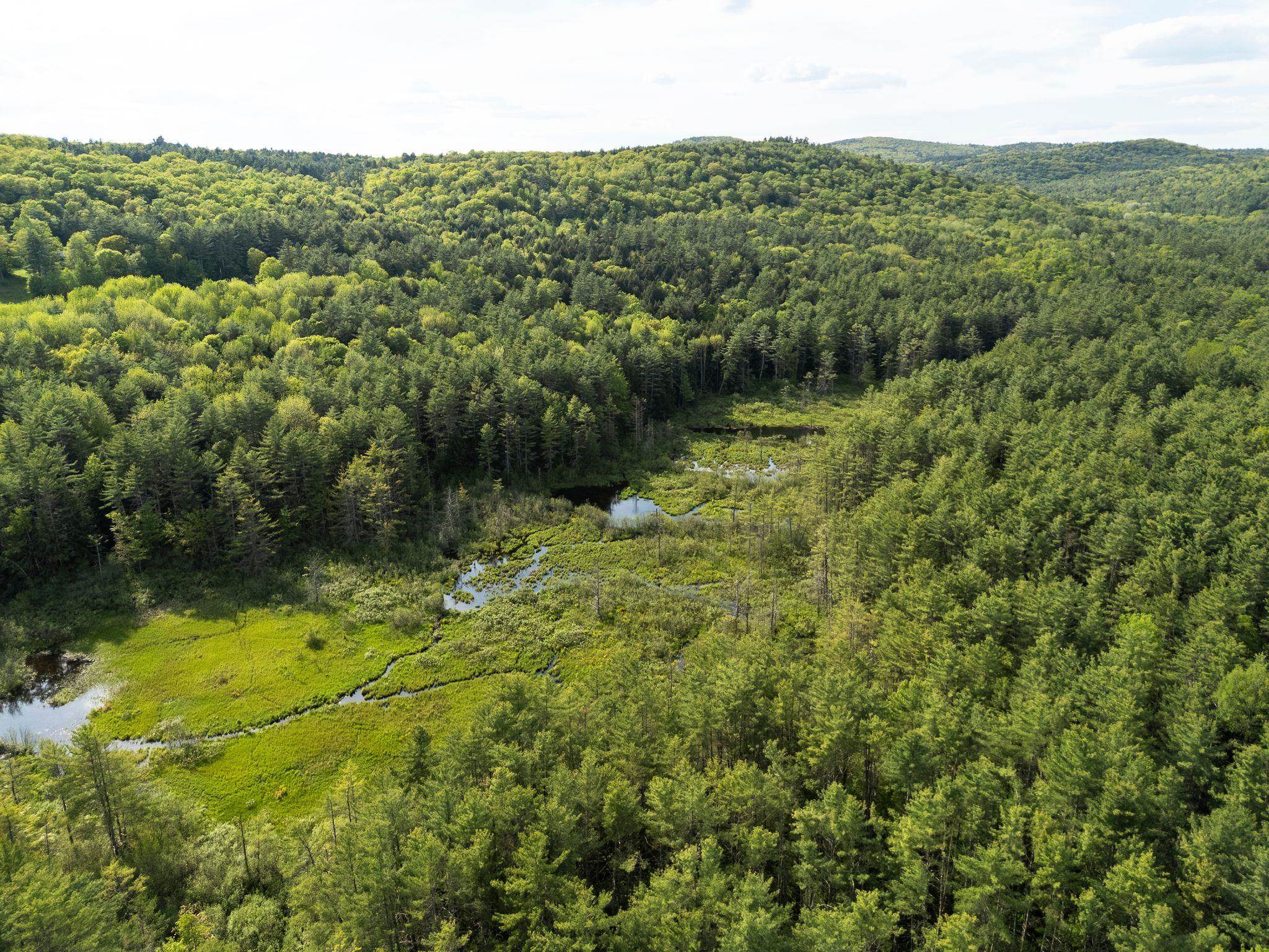  0 Newton Lane - 物件實景