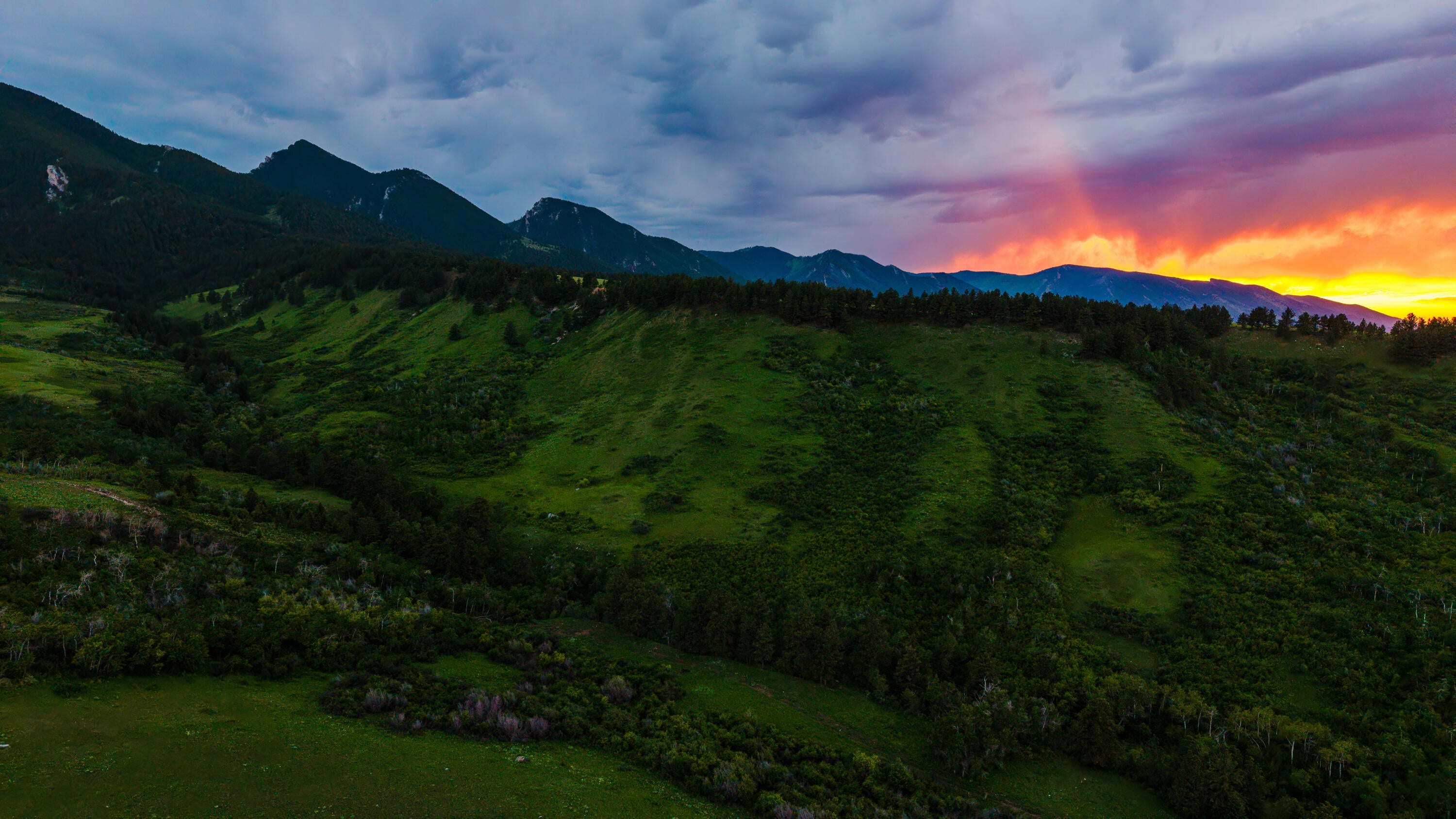 Big Horn, Wyoming, 82833, United States, ,Residential,For Sale,2011314