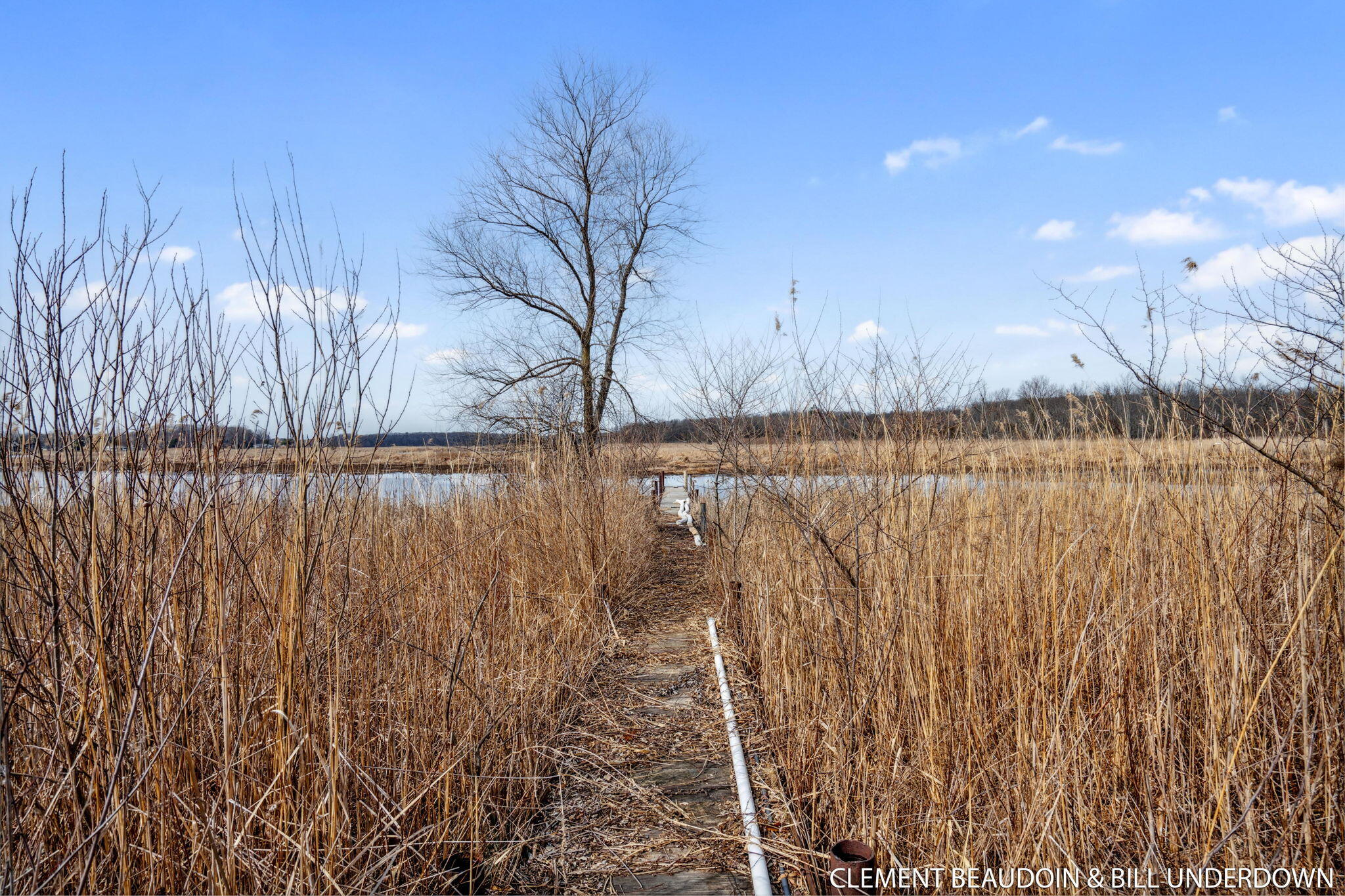 Fennville, Michigan, 49408, United States, 5 Bedrooms Bedrooms, ,7 BathroomsBathrooms,Residential,For Sale,1973707