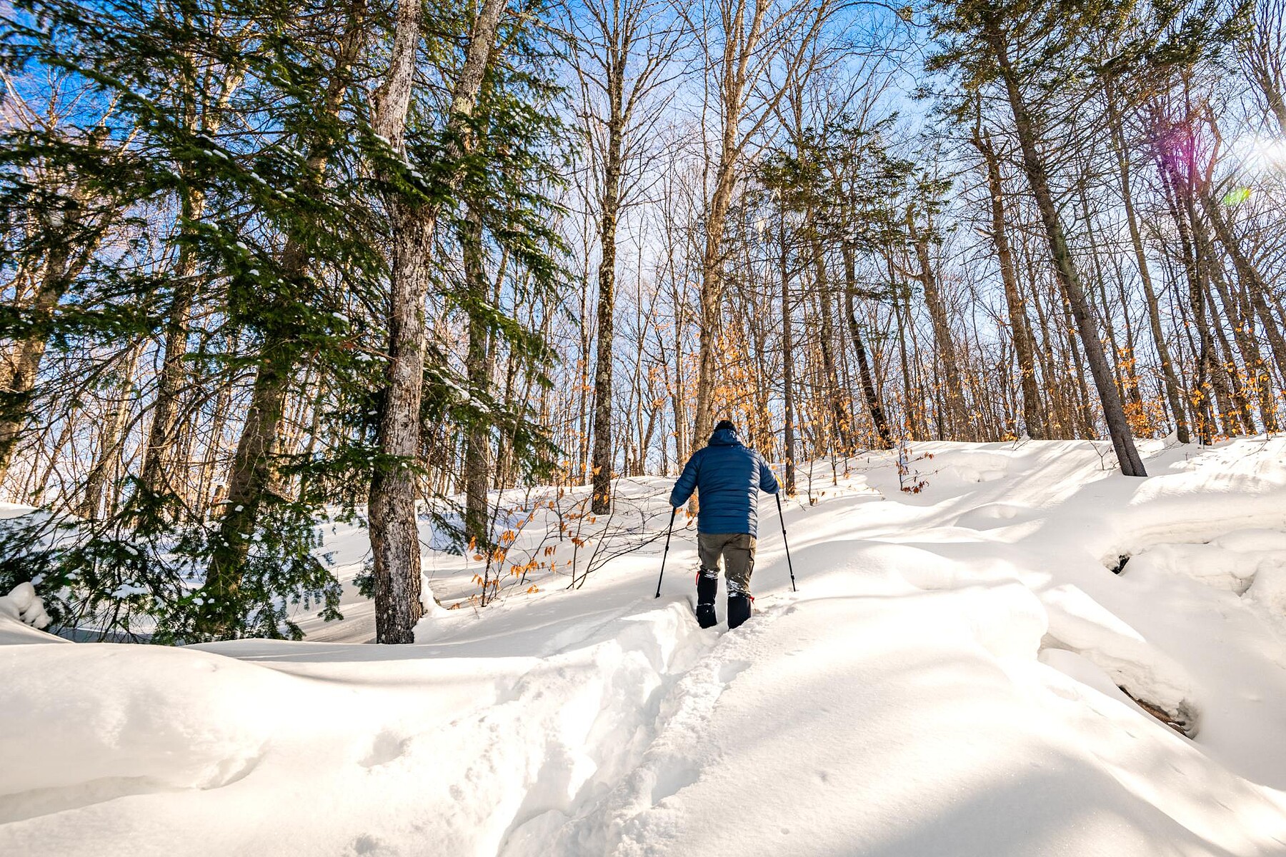  Wentworth-Nord, Laurentides - 物件實景