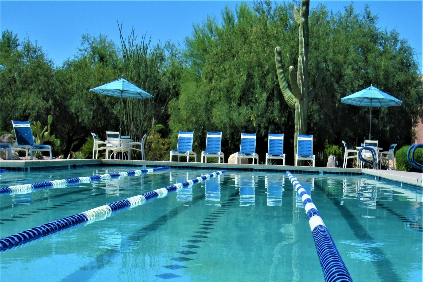  7180 E Thirsty Cactus Lane  Scottsdale, AZ - 物件實景