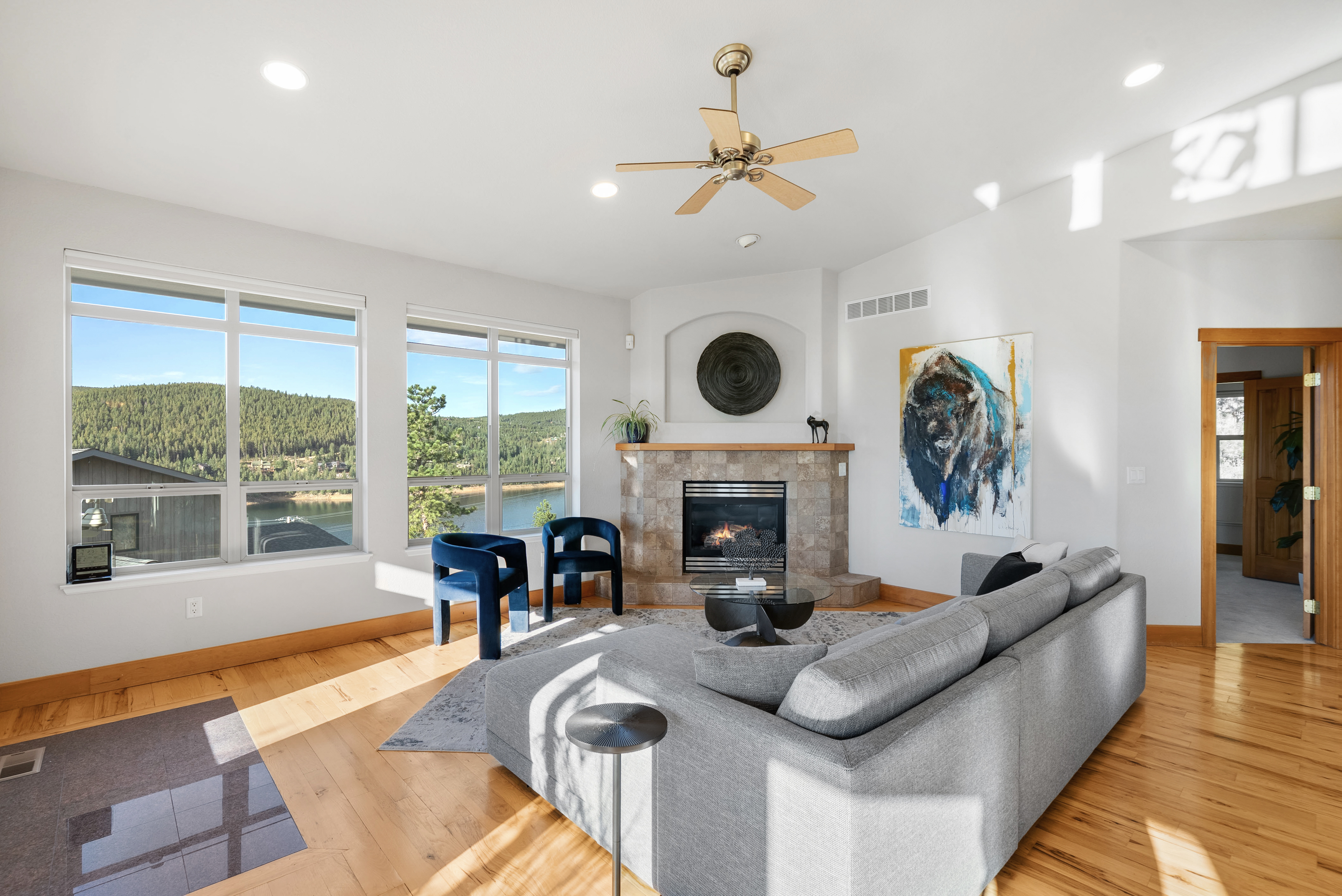  131 Hurricane Hill Dr, Nederland, CO, 80466 - 物件實景