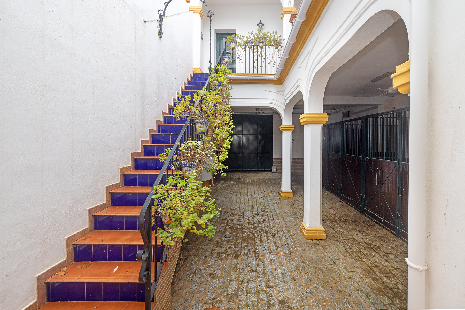  Detached home with character and equestrian area in El Rocío - 物件實景