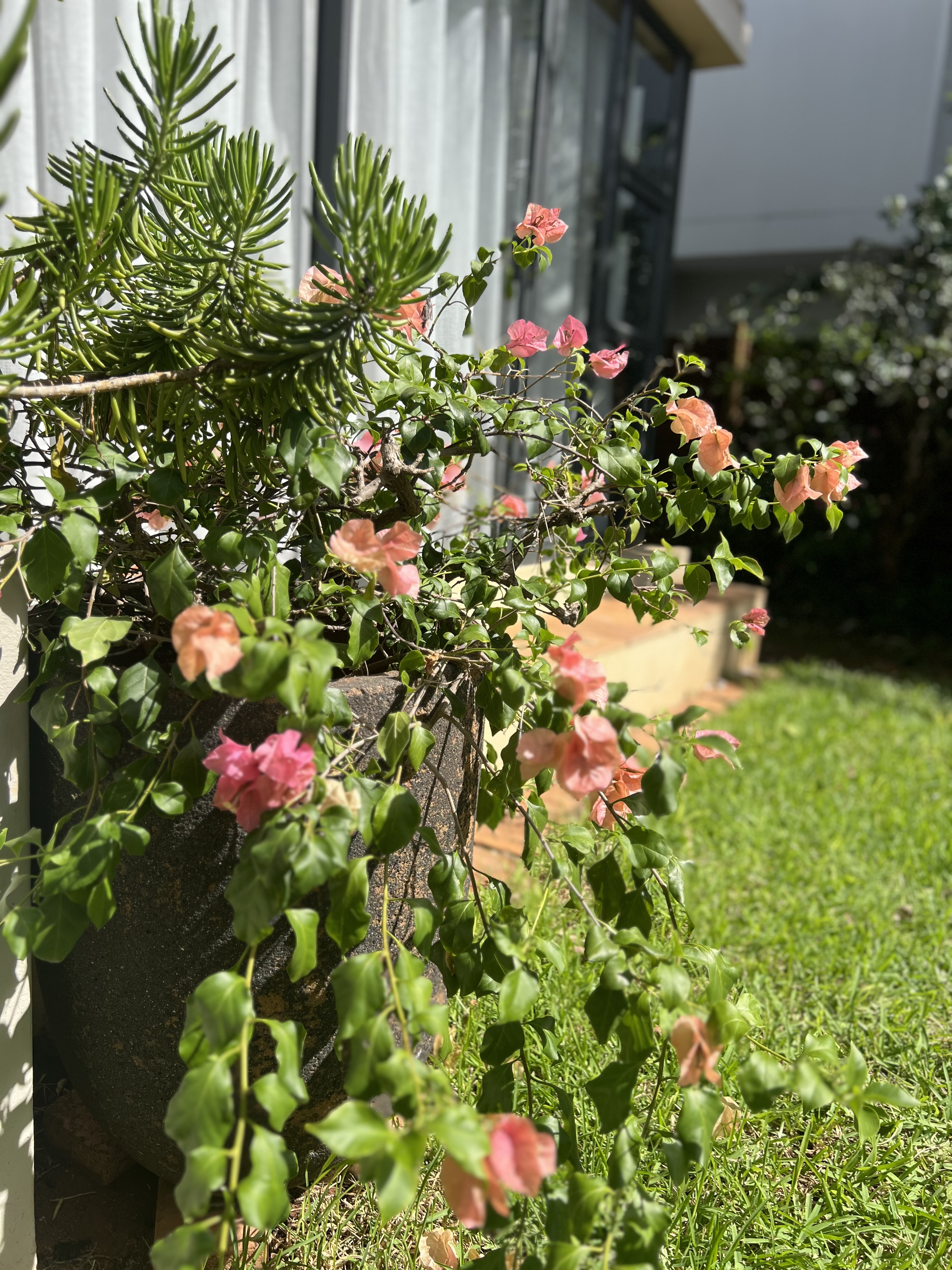  Meticulously maintained home with thoughtfully curated living spaces - 物件實景