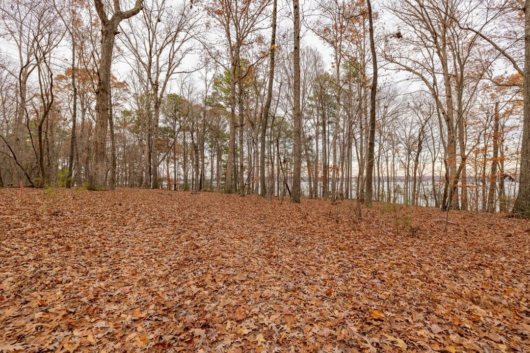 Lot 8 Serenity Point, Littleton, North Carolina, 28750, United States, ,Land,For Sale,Lot 8 Serenity Point,1659494