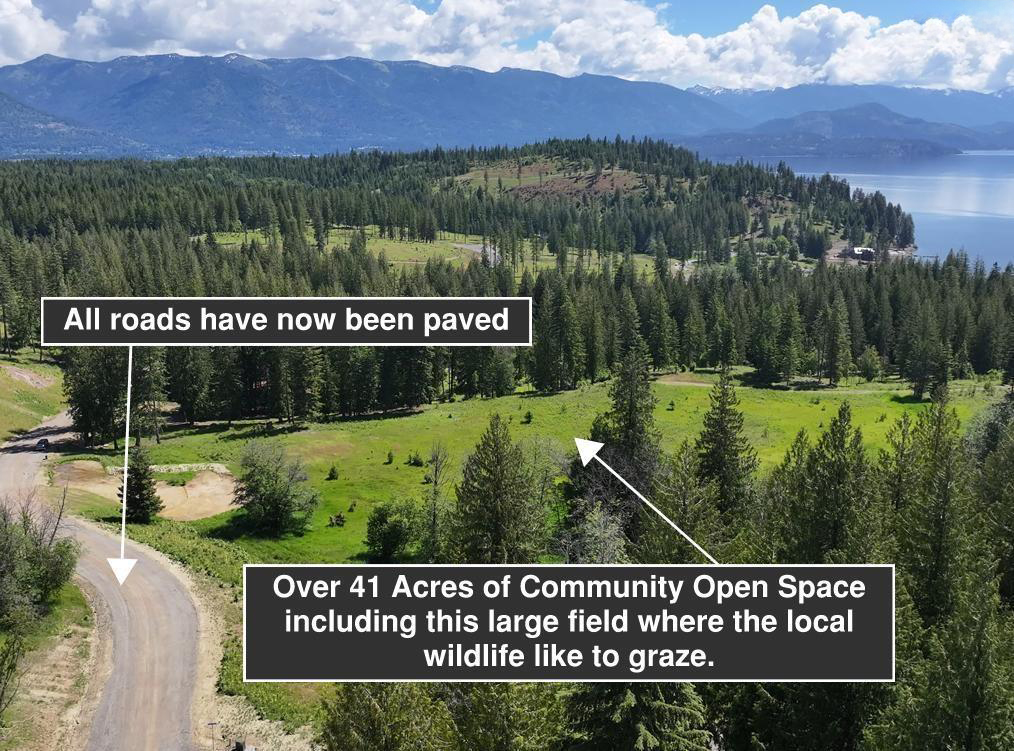 Sagle, Idaho, 83860, United States, ,Land,For Sale,1983081