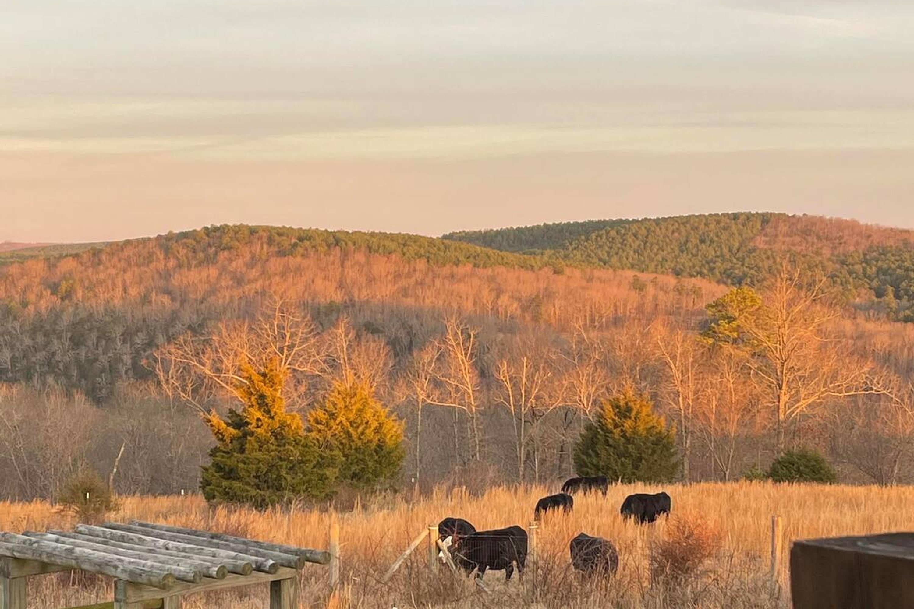 Mountain View, Arkansas, 72560, United States, 4 Bedrooms Bedrooms, ,2 BathroomsBathrooms,Residential,For Sale,1988851