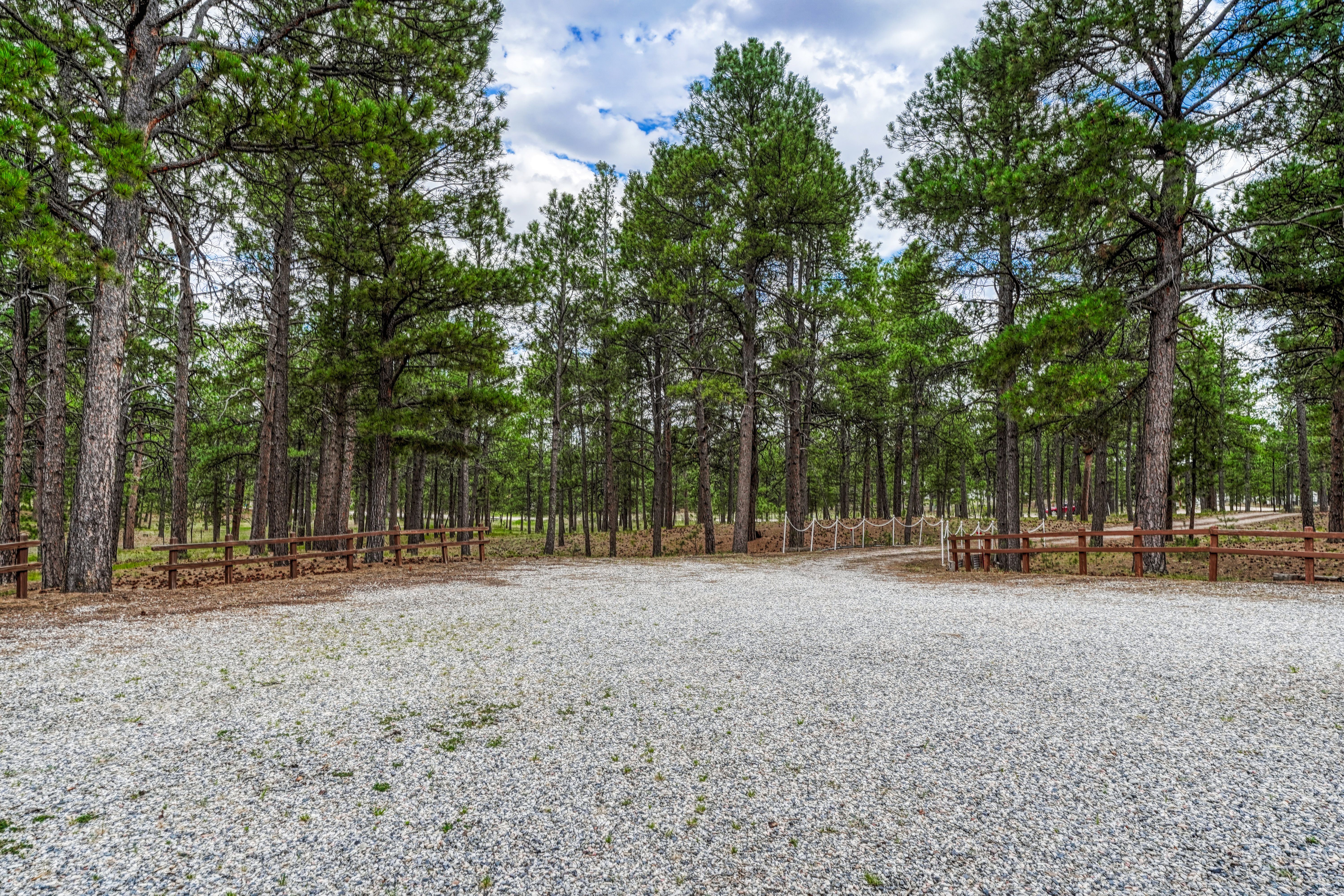  Meticulously maintained ranch-style home in sought-after Black Forest - 物件實景