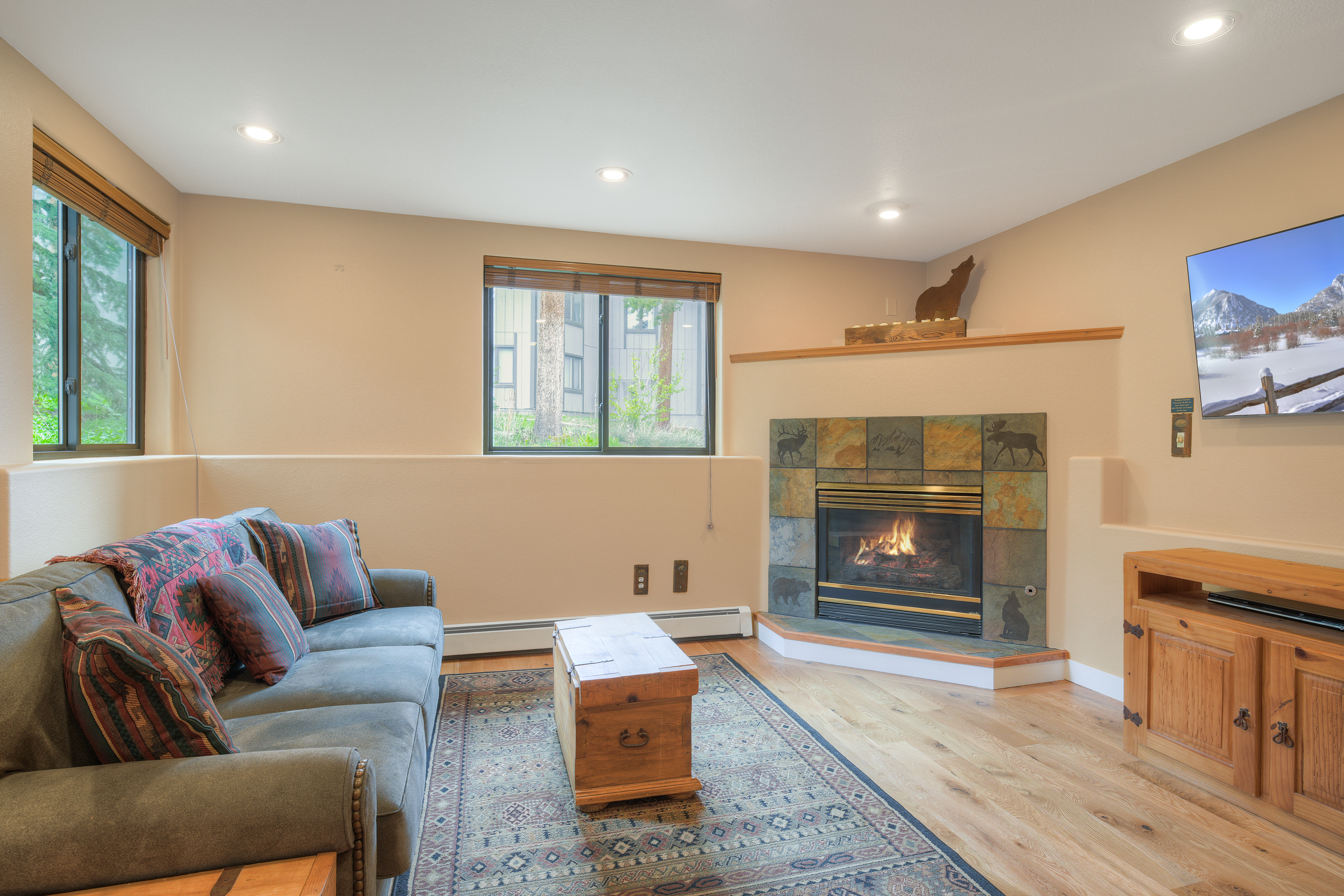  114 Park Forest Drive, Breckenridge, CO, 80424 - 物件實景