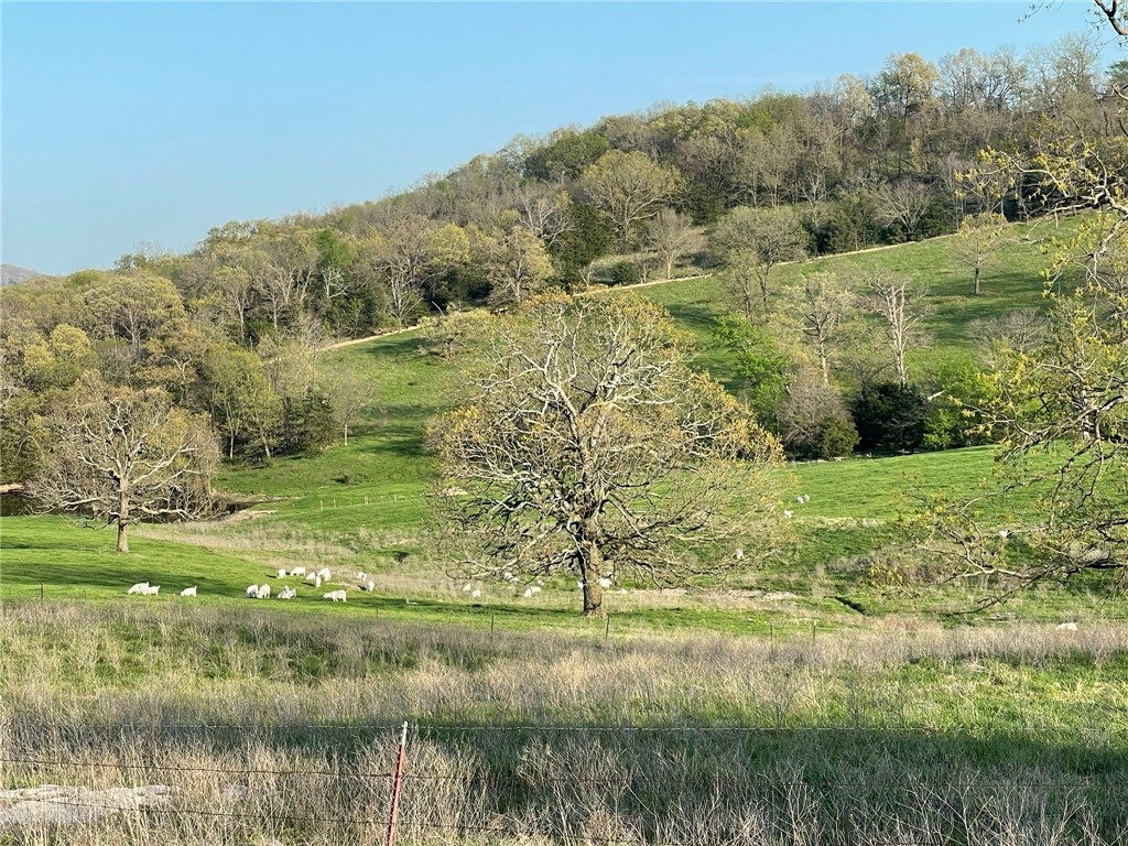 Berryville, Arkansas, 72616, United States, 6 Bedrooms Bedrooms, ,4 BathroomsBathrooms,Residential,For Sale,1988341