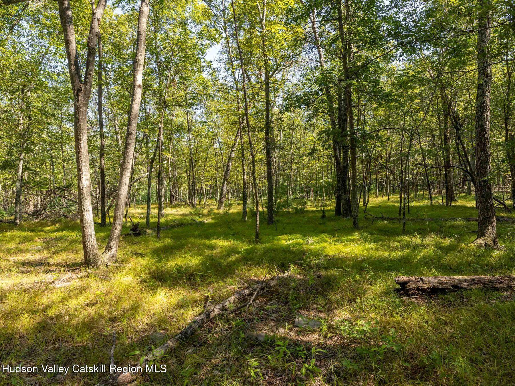 Hurley, New York, 12443, United States, ,Residential,For Sale,1947114