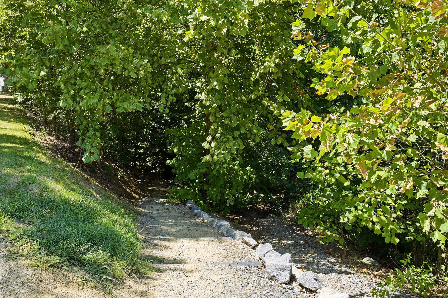  SUMMERS WALK - 物件實景