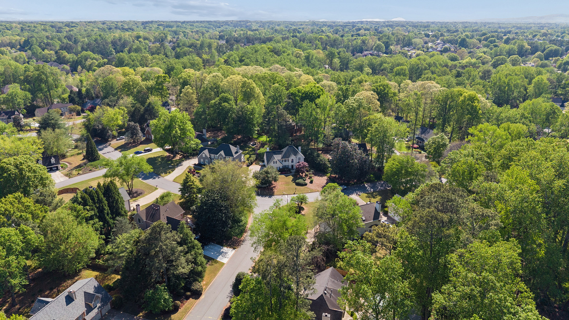  Unbeatable Appeal and Location in Crabapple Chase - 物件實景