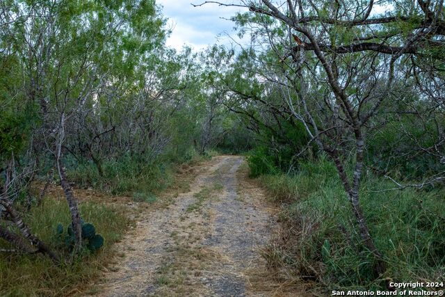 000 County Road 376, George West, Texas, 78022, United States, ,Residential,For Sale,000 County Road 376,1656585