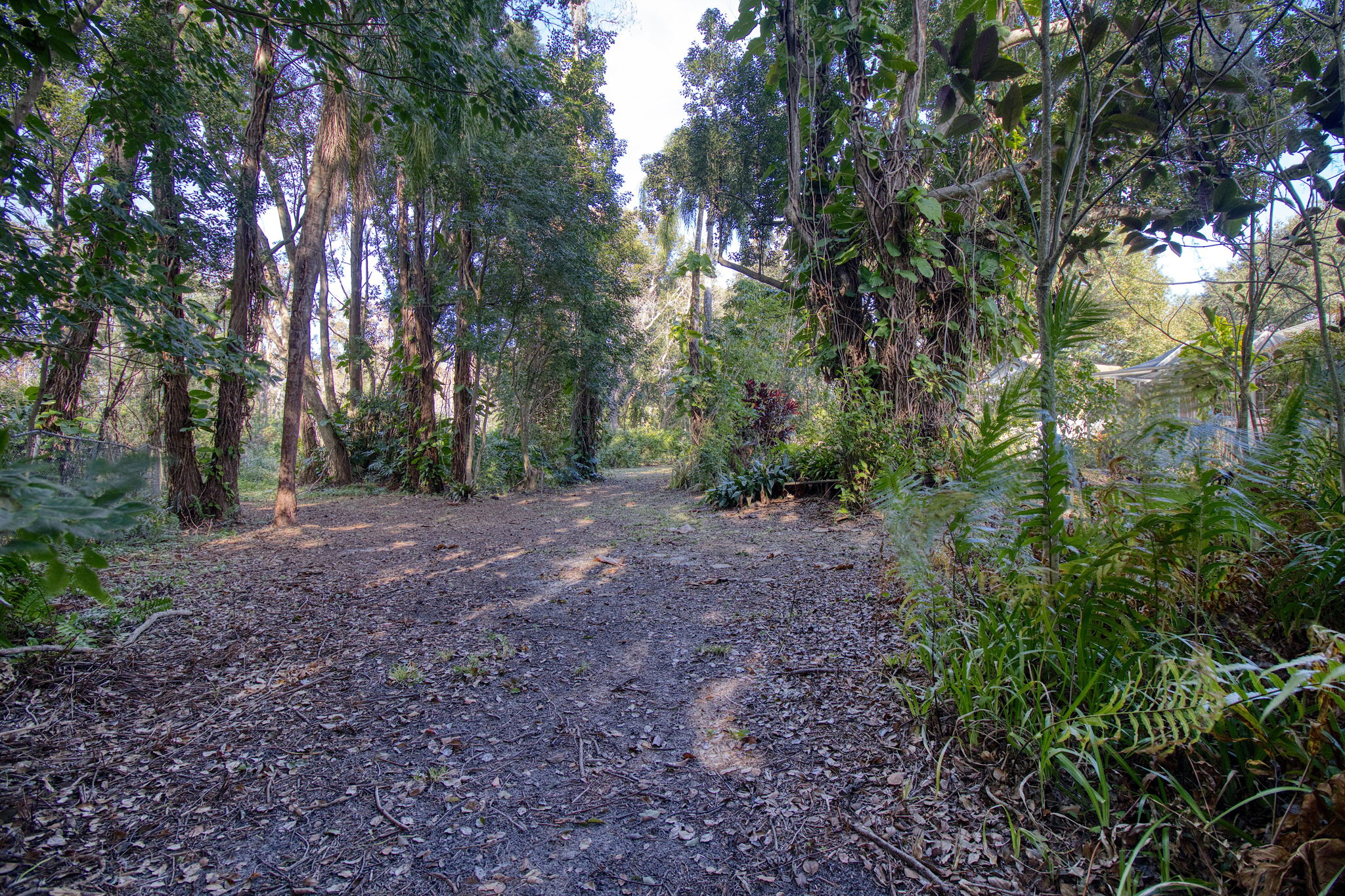 Tampa, Florida, 33613, United States, 4 Bedrooms Bedrooms, ,1 BathroomBathrooms,Residential,For Sale,2006363