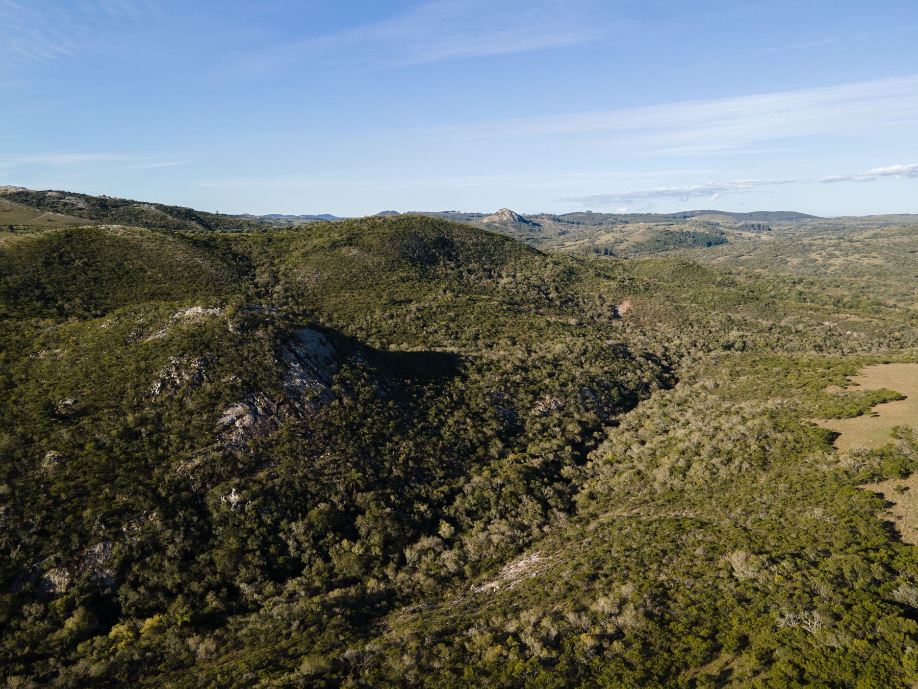  63.25 acres farm in Pueblo Edén. - 物件實景