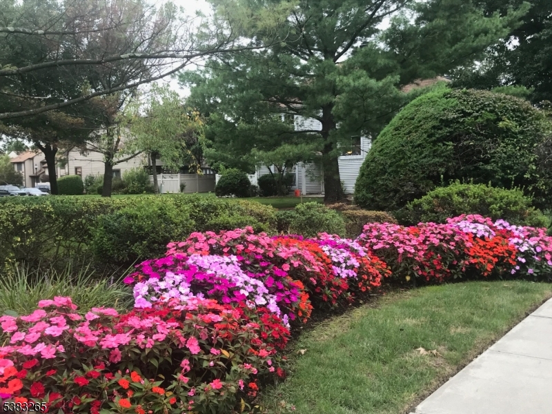 Sayreville Boro, New Jersey, 08859, United States, 2 Bedrooms Bedrooms, ,3 BathroomsBathrooms,Residential,For Sale,1962981