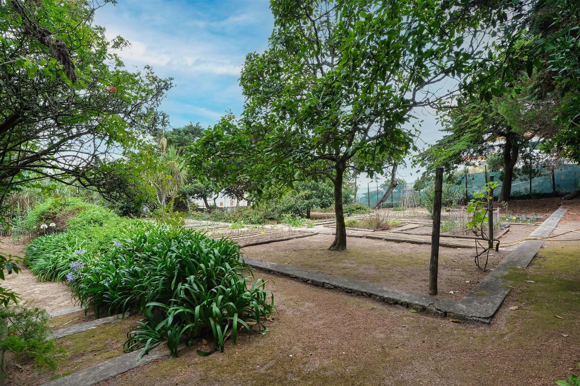  Terreno com ruina, 4 bedrooms, for Sale - 物件實景