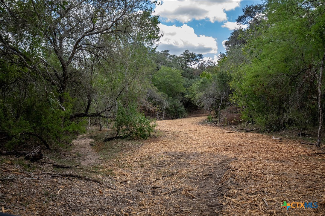 Cuero, Texas, 77954, United States, ,Residential,For Sale,1963995