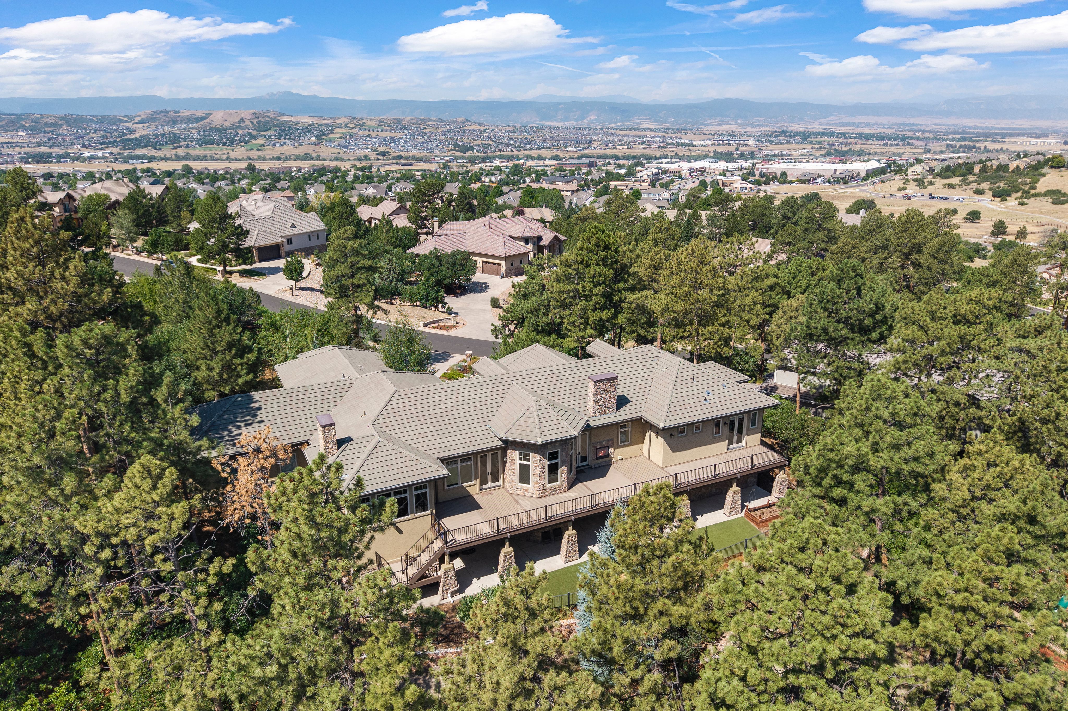  Spectacular custom ranch with a walk-out finished basement - 物件實景