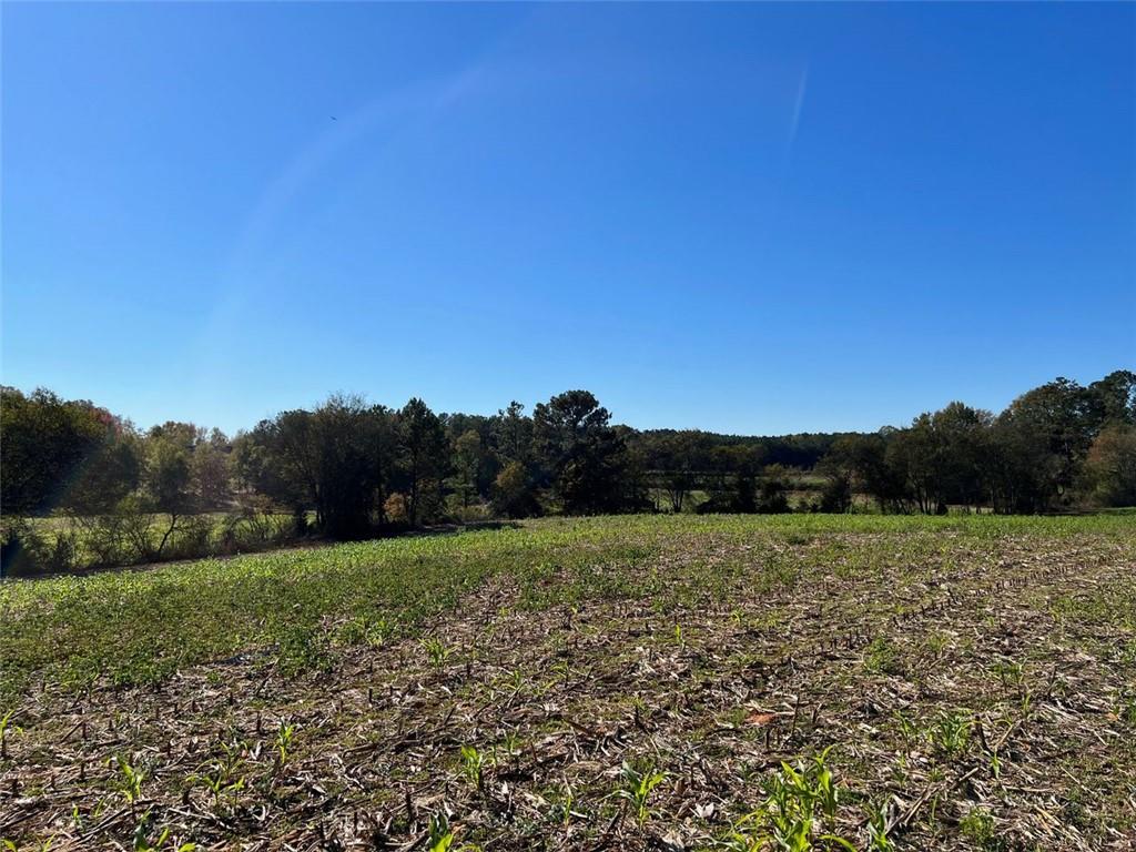 Taylorsville, Georgia, 30178, United States, ,Land,For Sale,1795283