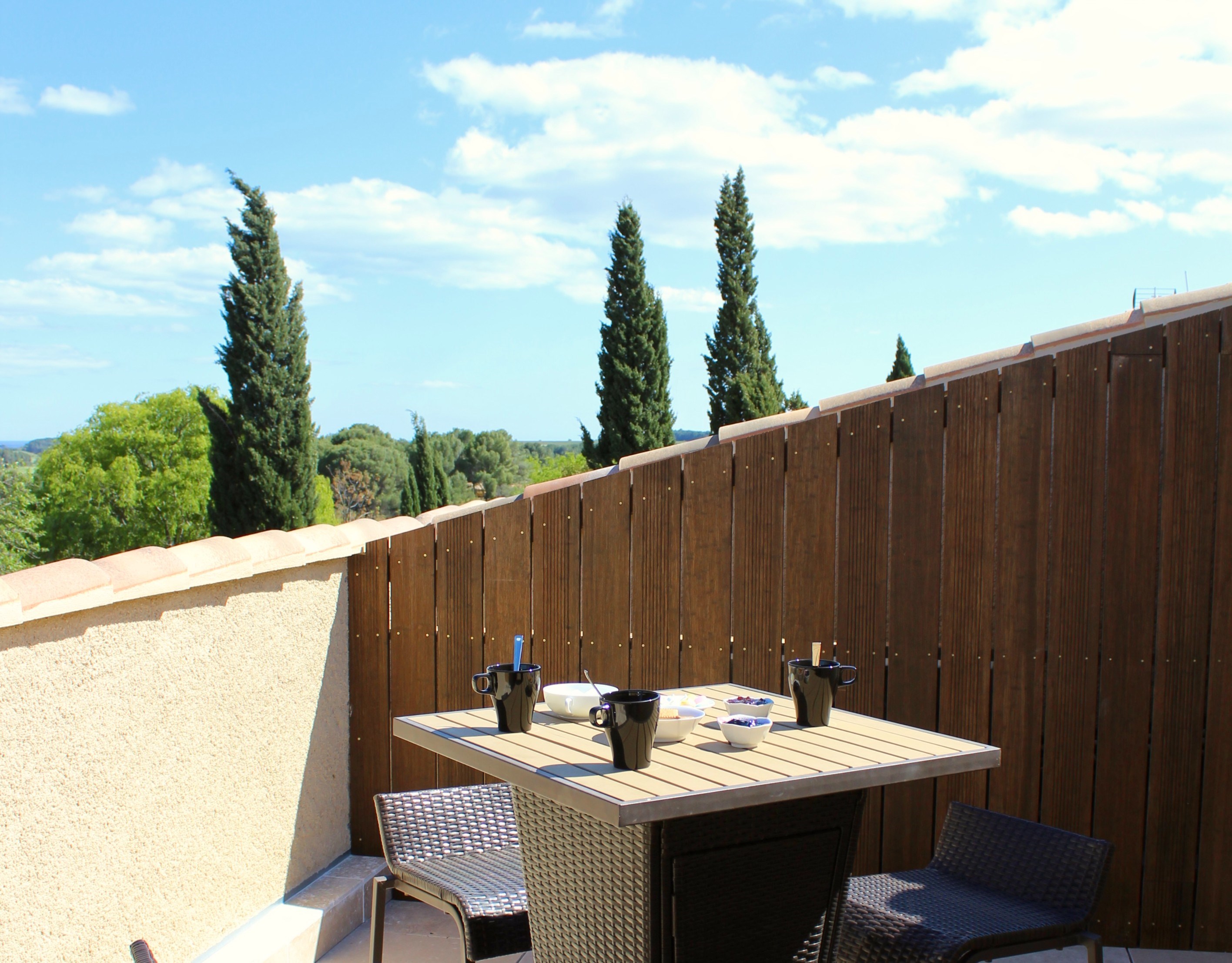  Close to the Etang de Thau, Charming Estate on 14 hectares - 物件實景