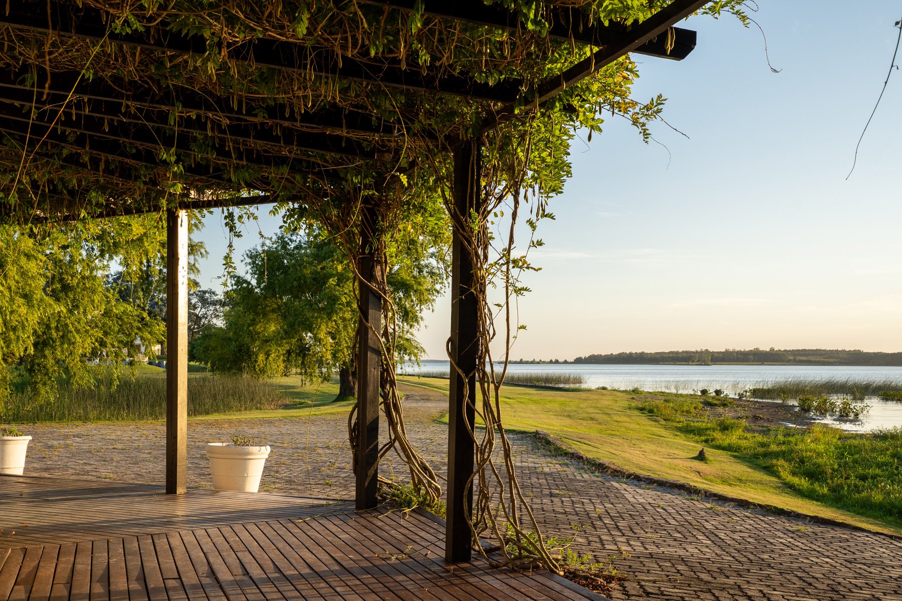  23 Hectares with Coastline on Laguna del Sauce - 物件實景