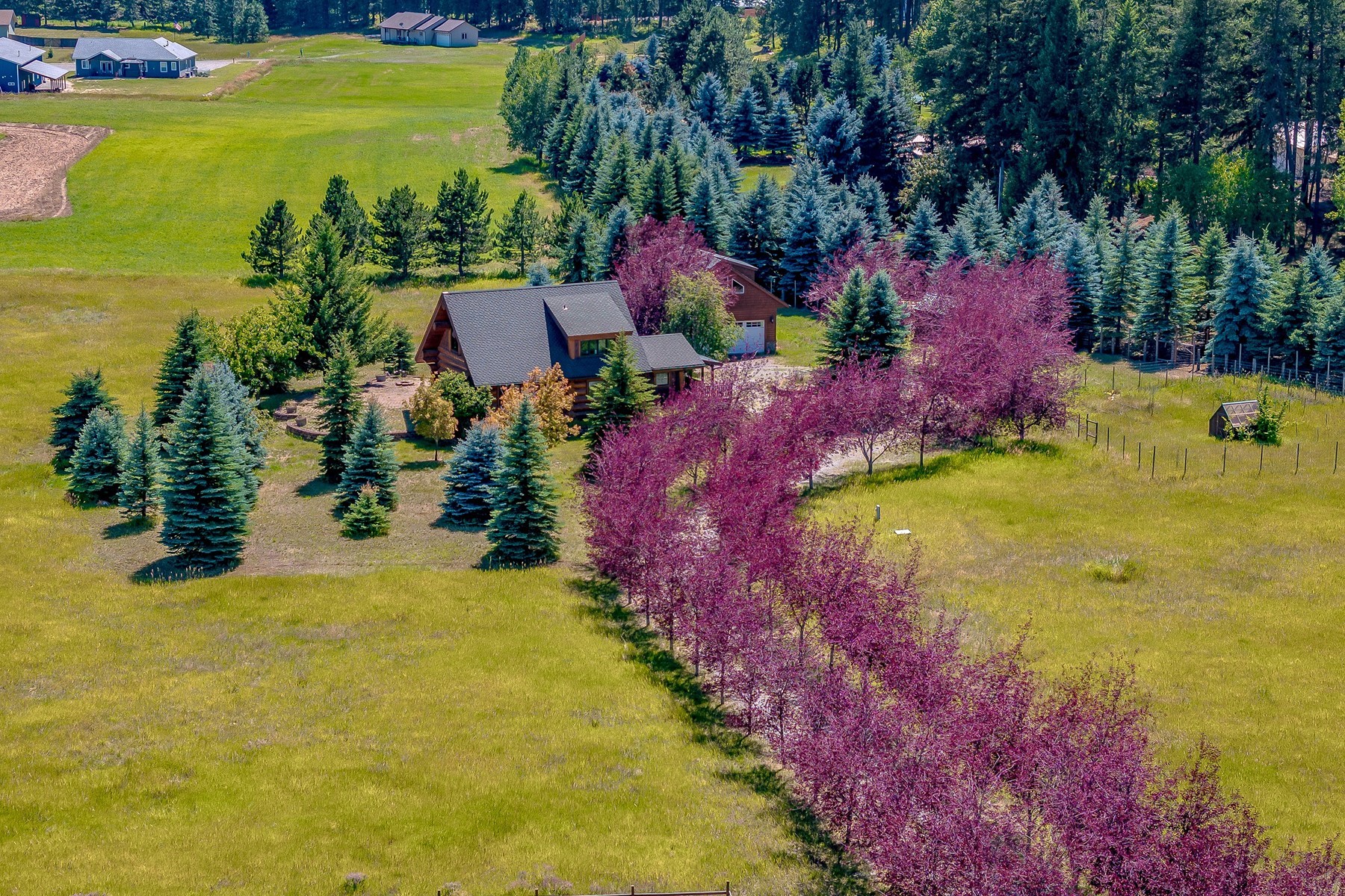  Artistic Log Home, Stunning Mountain Views - 物件實景
