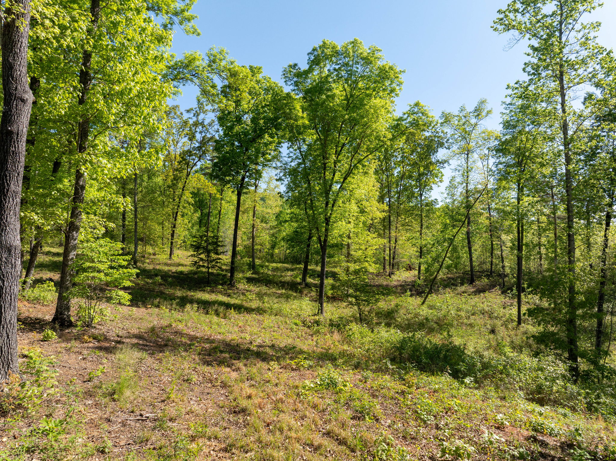  118 Harris Road, Pickens, SC 29671 - 物件實景
