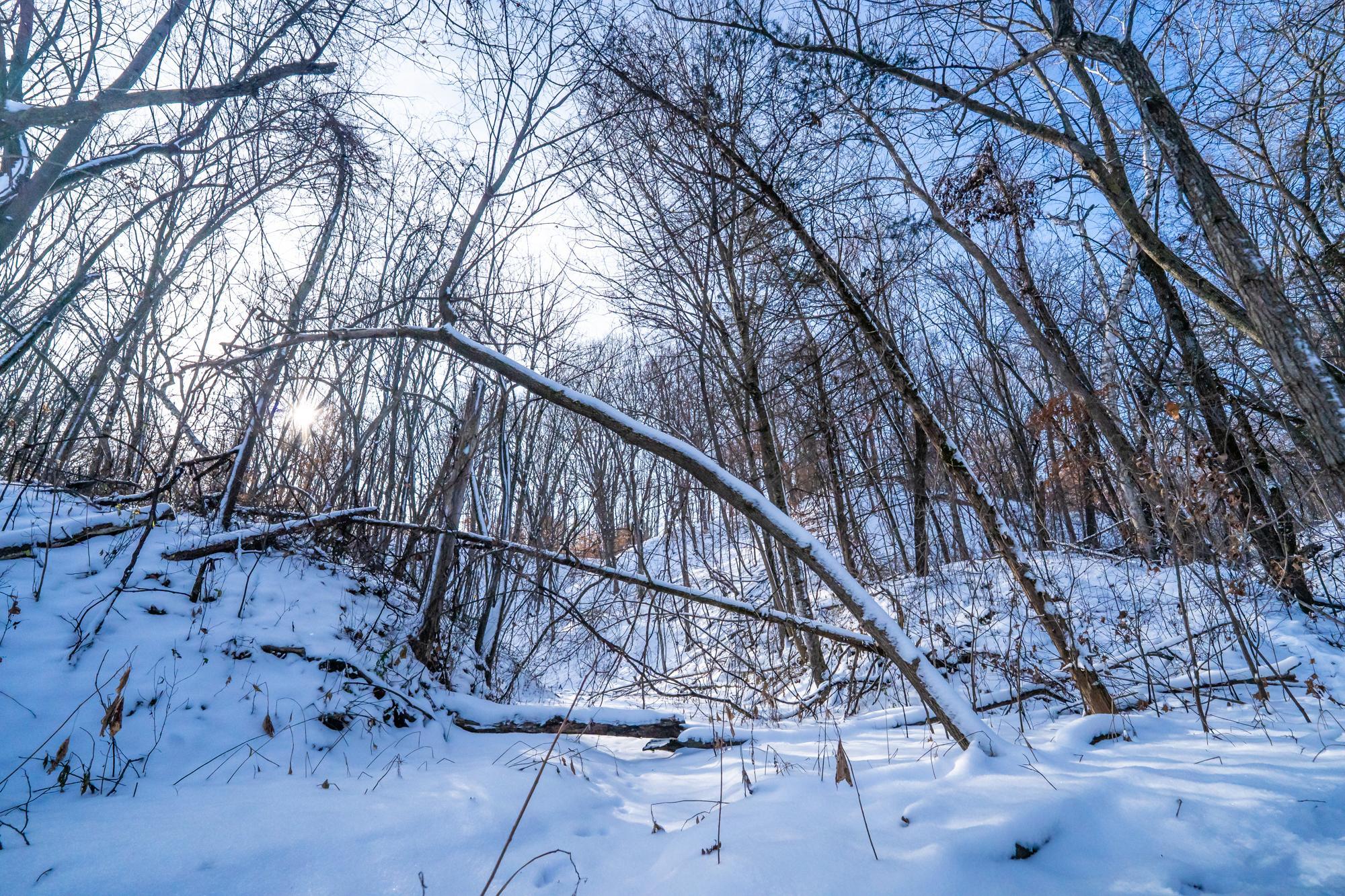 Otsego, Minnesota, 55362, United States, 3 Bedrooms Bedrooms, ,2 BathroomsBathrooms,Residential,For Sale,1995753