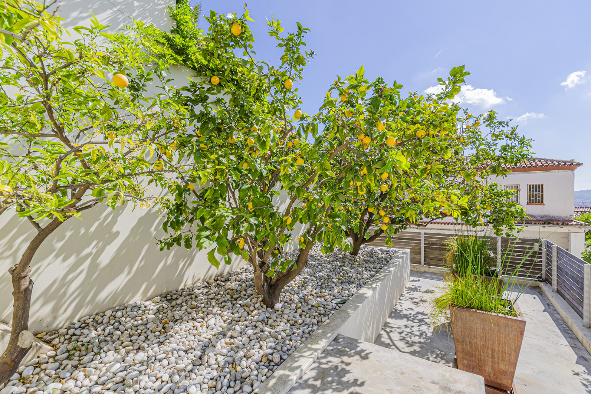  Property with breathtaking views surrounded by tropical garden - 物件實景