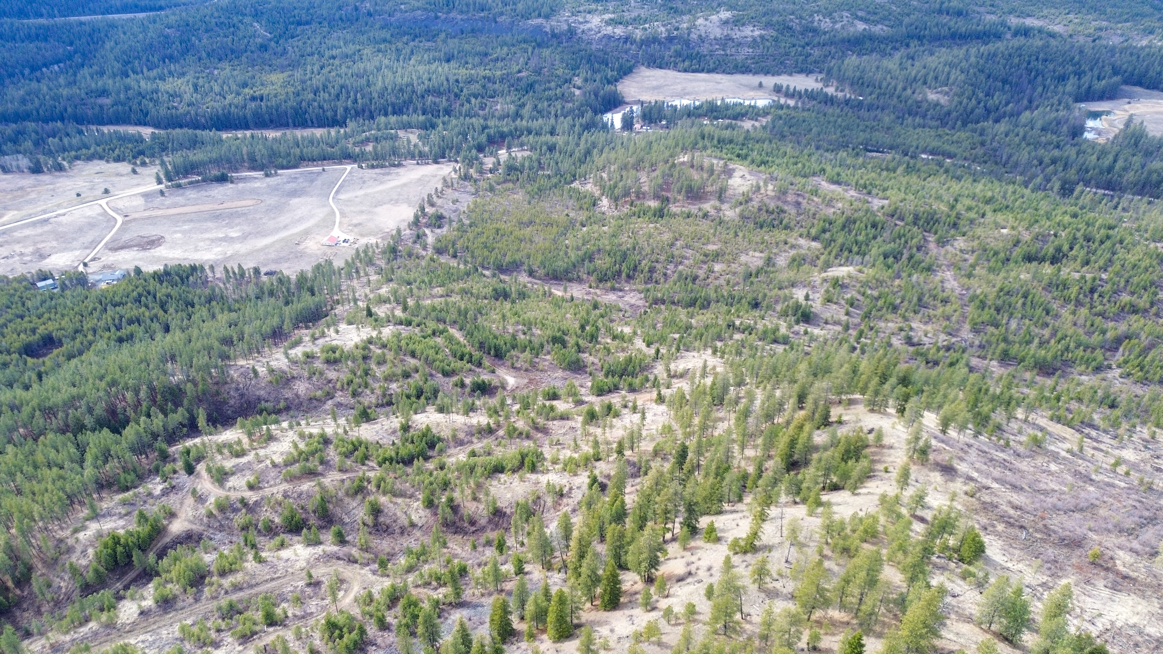 Valley, Washington, 99181, United States, ,Land,For Sale,1979391