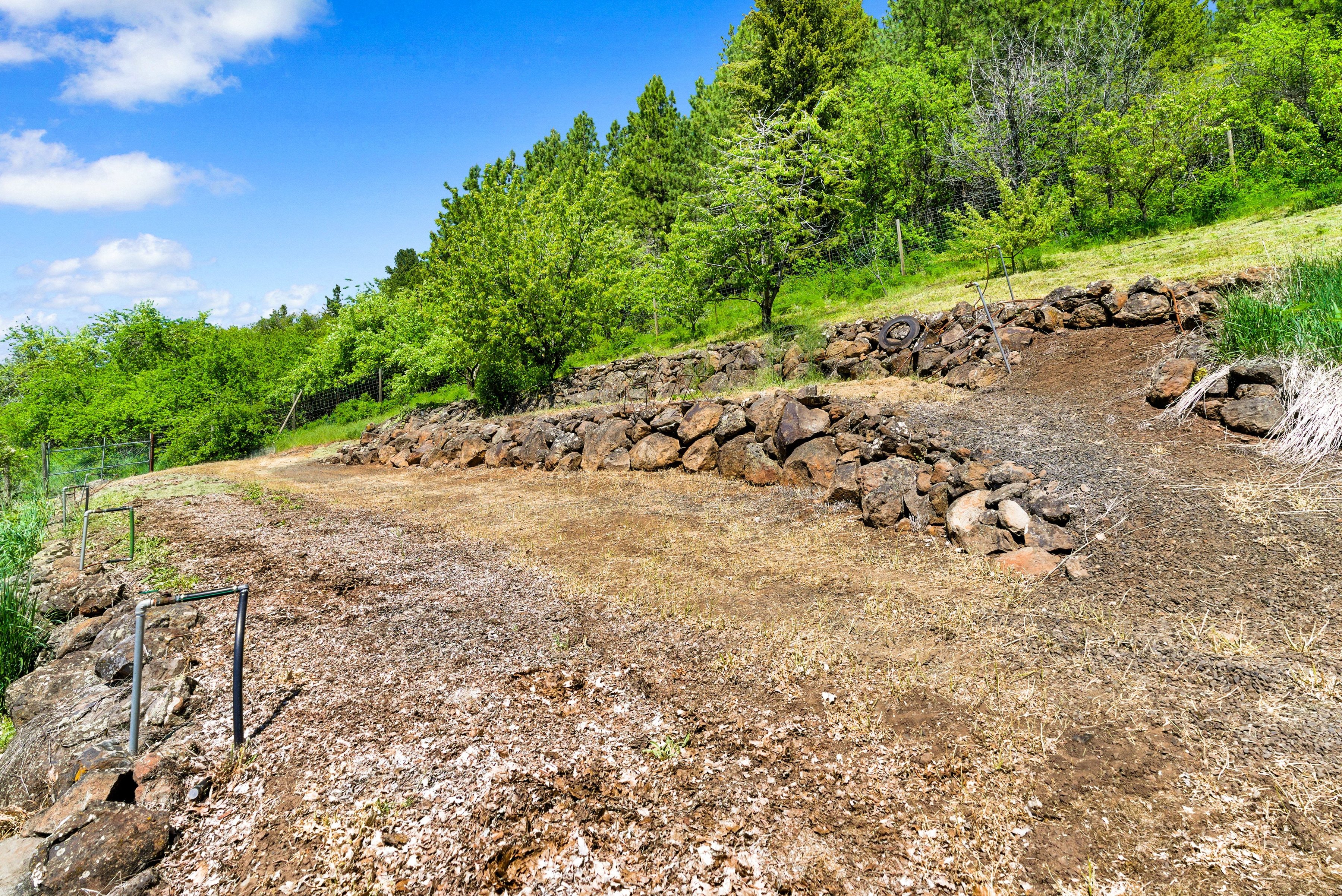  Idaho Dream Property: Hunting, Fishing & Total Privacy - 物件實景