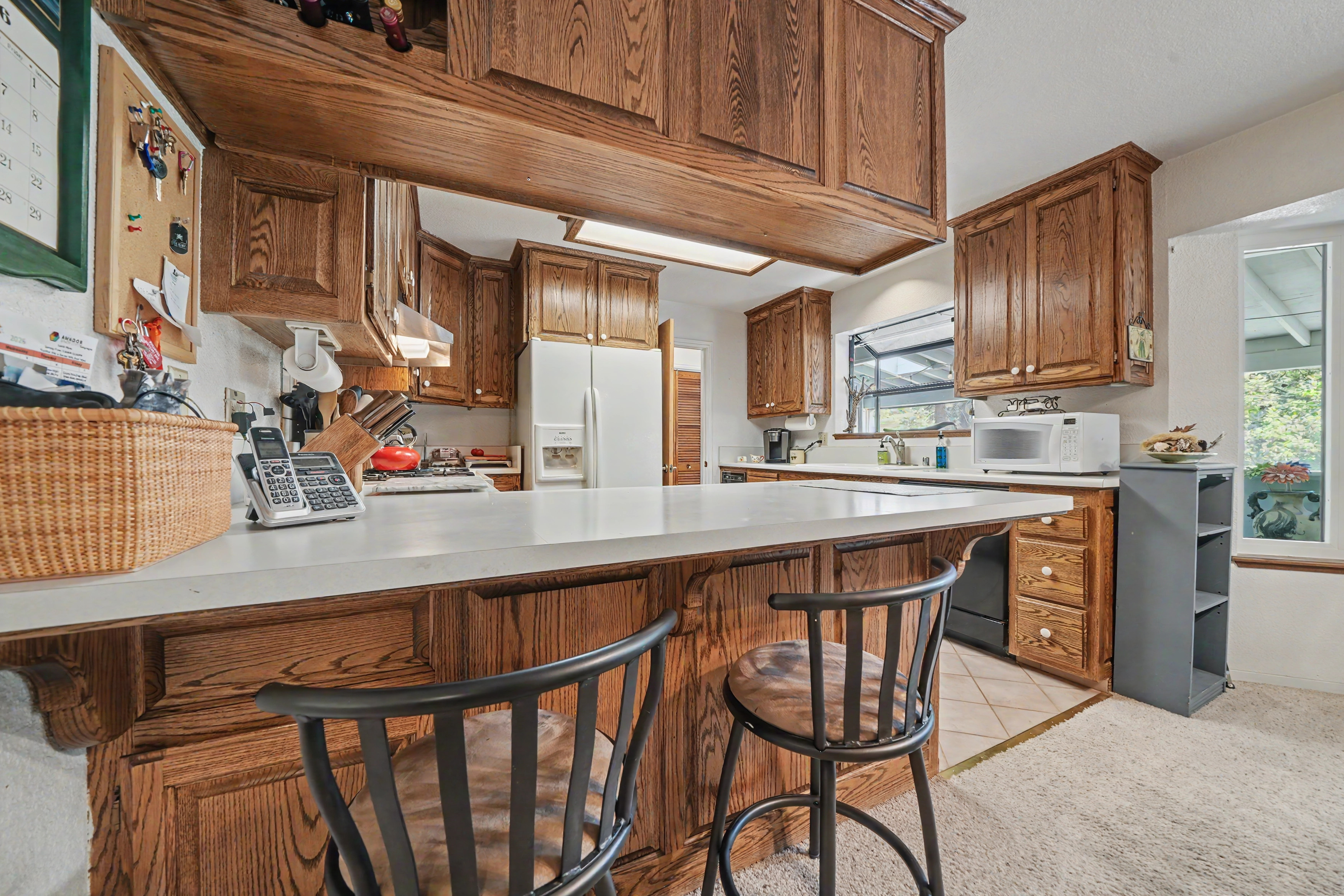  27144 Woodland Road, Pioneer, CA 95666 - 物件實景