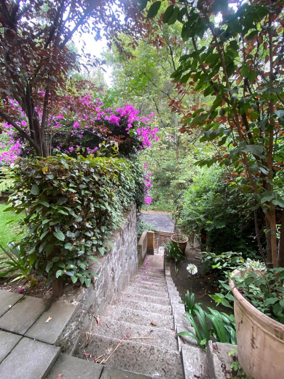 Cuajimalpa, Ciudad de Mexico, 05120, Mexico, 3 Bedrooms Bedrooms, ,3 BathroomsBathrooms,Residential,For Sale,1846602