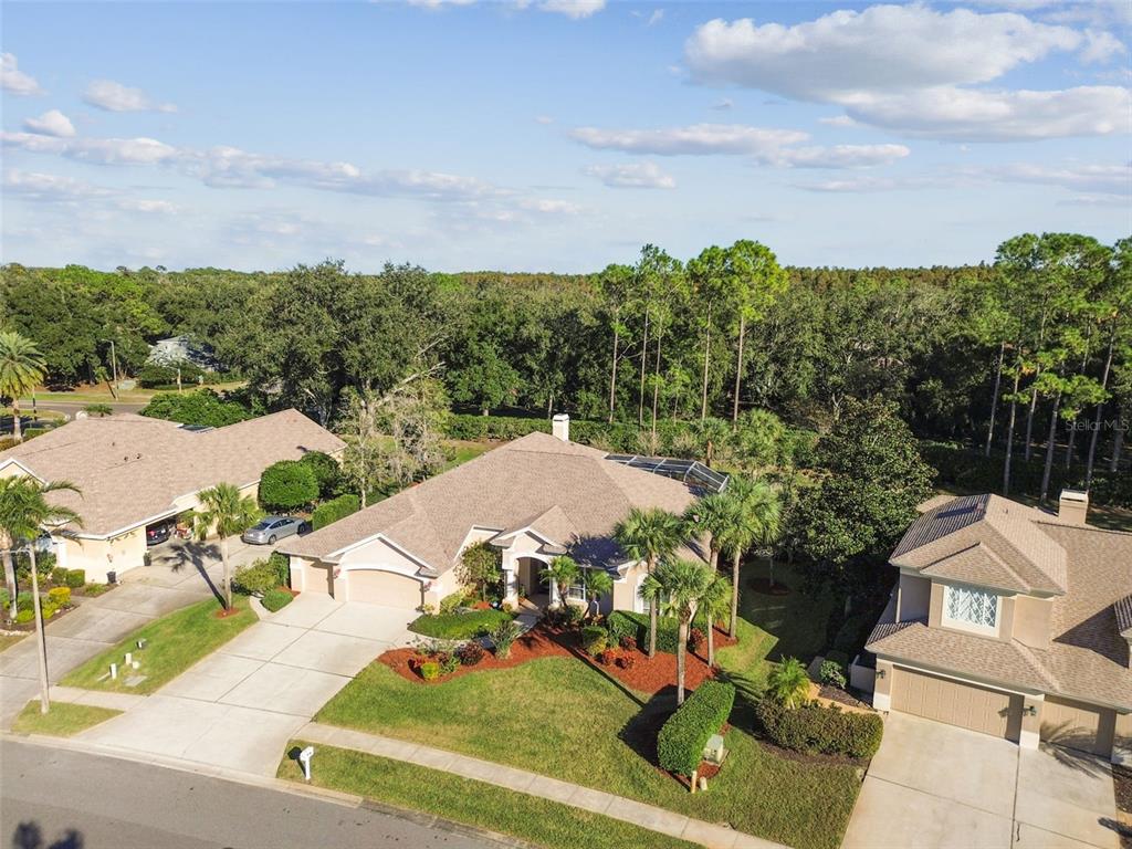 Palm Harbor, Florida, 34685, United States, 4 Bedrooms Bedrooms, ,4 BathroomsBathrooms,Residential,For Sale,1992596